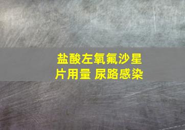 盐酸左氧氟沙星片用量 尿路感染